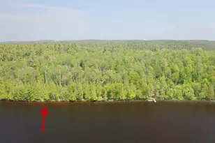 5773 Lake Vermilion N, Tower, MN 55790 - Photo 1