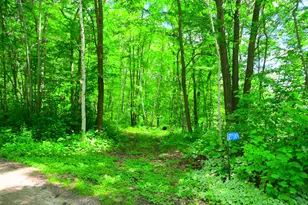 27589 Norway Trail, Cushing Township, MN 56475 - Photo 1