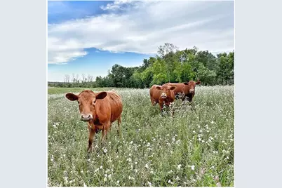8220 Lake Drive NE, Forest Lake, MN 55025 - Photo 12