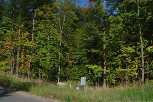 Lot 2 B1 Cascade Ct, Deerwood, MN 56444 - Photo 1