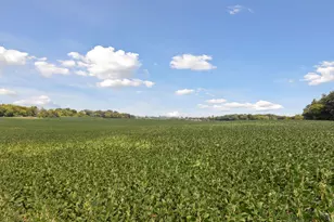 24X1 Holy Name Dr, Medina, MN 55340 - Photo 1