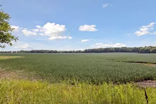 24X4 Holy Name Dr, Medina, MN 55340 - Photo 1