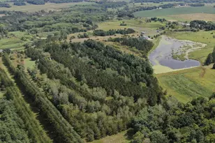 Tbd 272nd St, Saint Martin, MN 56362 - Photo 1