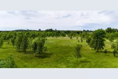 Lot 2 Rutten Lane NE, Carlos, MN 56319 - Photo 16