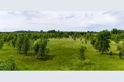 Lot 2 Rutten Lane NE, Carlos, MN 56319 - Photo 16