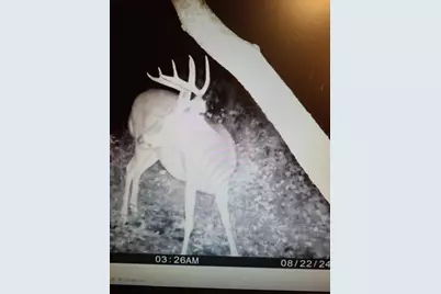 22070 295th Avenue, Long Prairie, MN 56347 - Photo 62