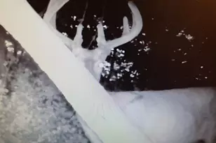 22070 295th Ave, Long Prairie, MN 56347 - Photo 64