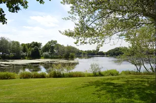 987 Island Lake Ave, Shoreview, MN 55126 - Photo 28