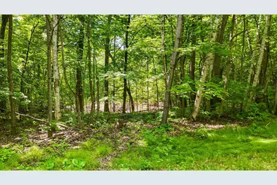 Tbd Lots B & C 389th Avenue, Aitkin, MN 56431 - Photo 14