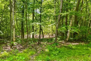 Tbd Lots B & C 389th Ave, Aitkin, MN 56431 - Photo 14