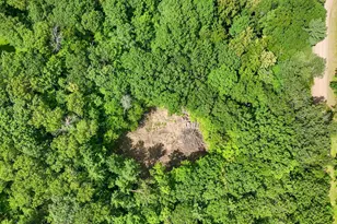 Tbd Lots B & C 389th Ave, Aitkin, MN 56431 - Photo 12