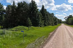 44044 Blackjack Dr, Henning, MN 56551 - Photo 1