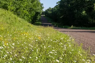 Xxxx Moonlight Dr, Twin Lakes, MN 55718 - Photo 10