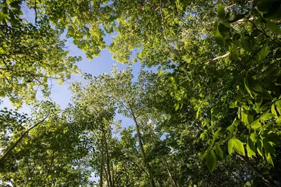 Xxxx Moonlight Drive, Twin Lakes, MN 55718 - Photo 8