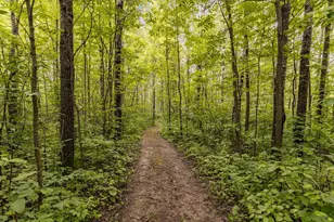 8194 Glen Junction Rd, Cotton, MN 55724 - Photo 42