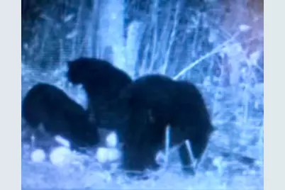 Tbd Timberlane Road, Staples, MN 56479 - Photo 16