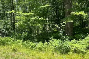 41988 251st Pl, McGregor, MN 55760 - Photo 40