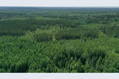 Tbd Arkola Rd., Cotton, MN 55724 - Photo 4