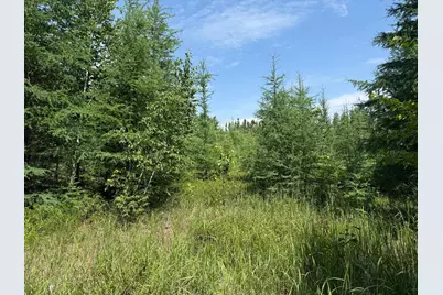 Tbd Arkola Rd., Cotton, MN 55724 - Photo 6