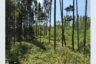 Tbd Arkola Rd., Cotton, MN 55724 - Photo 24