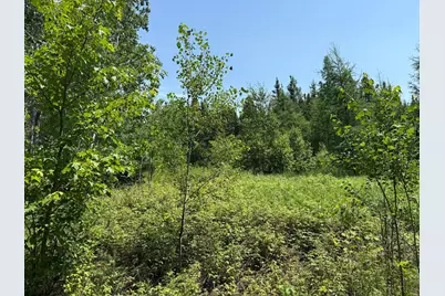 Tbd Arkola Rd., Cotton, MN 55724 - Photo 12