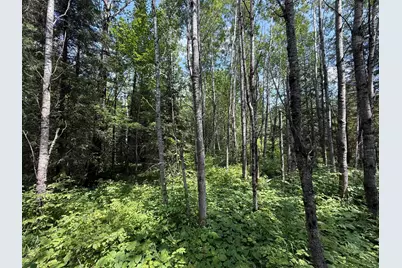 Tbd Arkola Rd., Cotton, MN 55724 - Photo 34
