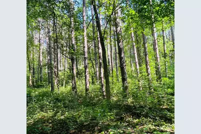 Tbd Brown Lane, Pepin, WI 54759 - Photo 1