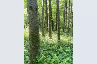 Tbd Brown Lane, Pepin, WI 54759 - Photo 4