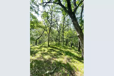 Tbd Brown Lane, Pepin, WI 54759 - Photo 2
