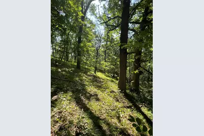 Tbd Brown Lane, Pepin, WI 54759 - Photo 8