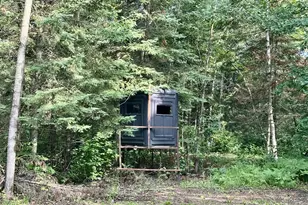 21761 Bemis Hill Forest Rd, Salol, MN 56756 - Photo 46