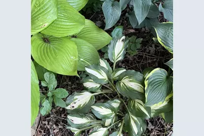 1157 6th Avenue S, Windom, MN 56101 - Photo 36