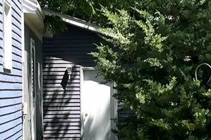 1157 6th Ave S, Windom, MN 56101 - Photo 30