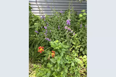 1157 6th Avenue S, Windom, MN 56101 - Photo 34