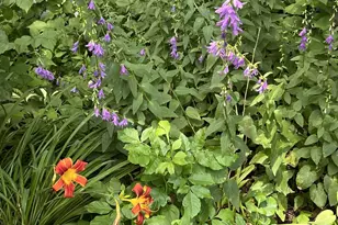 1157 6th Ave S, Windom, MN 56101 - Photo 34