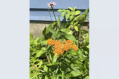 1157 6th Avenue S, Windom, MN 56101 - Photo 32