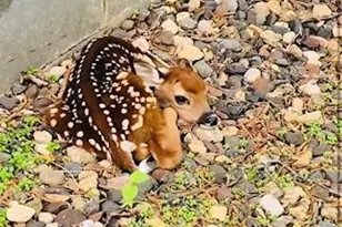 11691 115th St N, Stillwater, MN 55082 - Photo 52