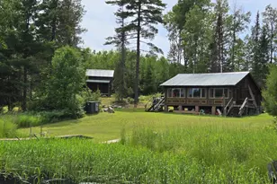 163 Rollick Creek, Crane Lake, MN 55725 - Photo 2