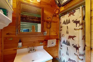 163 Rollick Creek, Crane Lake, MN 55725 - Photo 26