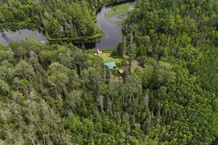 163 Rollick Creek, Crane Lake, MN 55725 - Photo 12