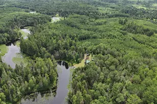 163 Rollick Creek, Crane Lake, MN 55725 - Photo 10