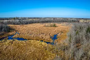 21740 Hwy 89 NW, Puposky, MN 56667 - Photo 56