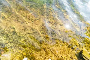 213 Cowdry Heights NW, Alexandria, MN 56308 - Photo 8