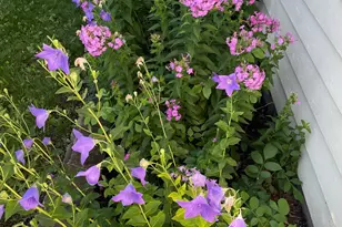 1224 St Joseph Ave, Albert Lea, MN 56007 - Photo 34