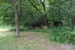 2682 Lakeview Ct, Little Canada, MN 55117 - Photo 56