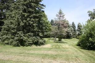 10698 625th Ave, Emmons, MN 56029 - Photo 52