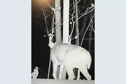 Tbd Tbd, Mazeppa, MN 55956 - Photo 8