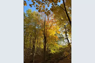 Tbd Tbd, Mazeppa, MN 55956 - Photo 2