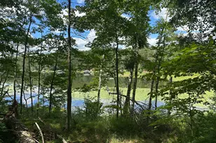 Tbd White Pine Ln, Motley, MN 56466 - Photo 1