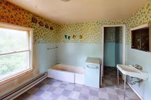 4049 Co Rd 79, International Falls, MN 56653 - Photo 24